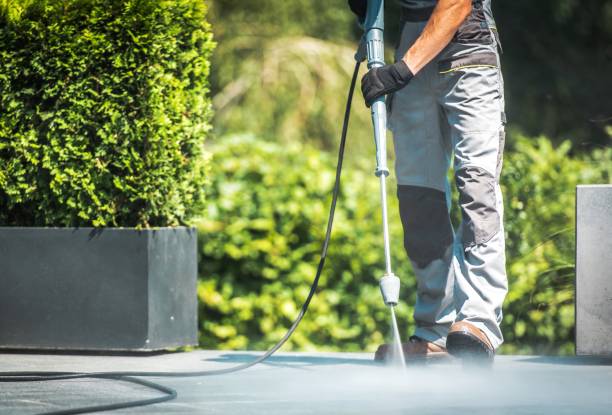 Reliable Meadows Place, TX Pressure washing Solutions